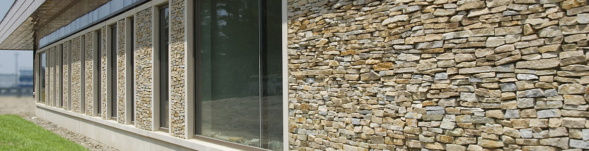 Veneer Stone
