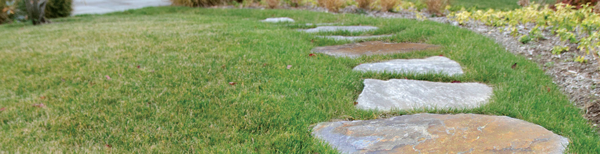 Garden Path Stone