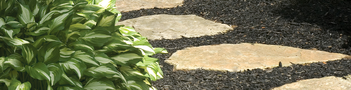 garden-path-slider