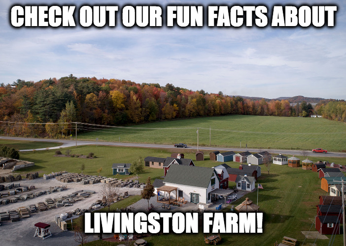 25.12-2026-checklist-2