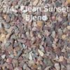 Sunset Blend for Sale