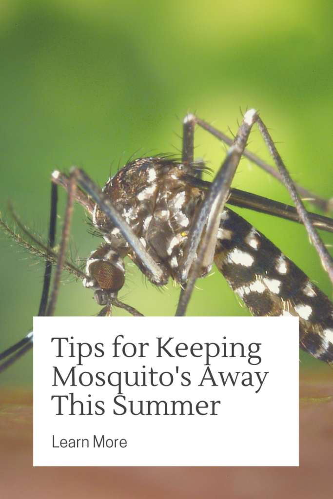 Tips for Keeping Mosquito's Away
