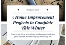 5 Home Improvement Projects You Should Do Before Spring