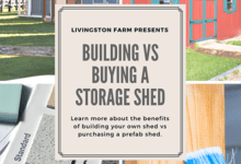 Buying vs Building a Shed