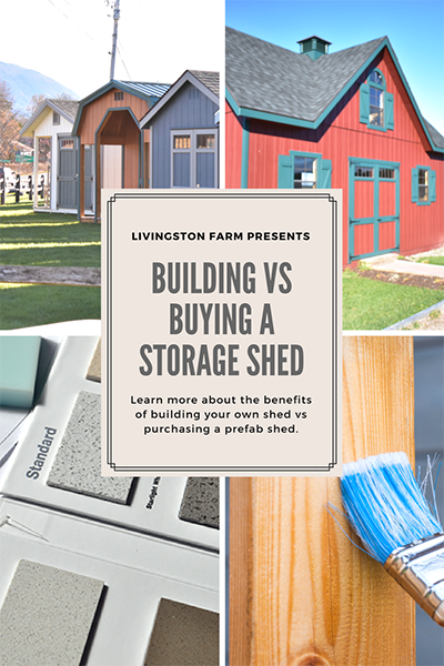 Building vs Buying a Storage Shed