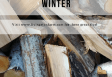 How To Store Firewood for Winter