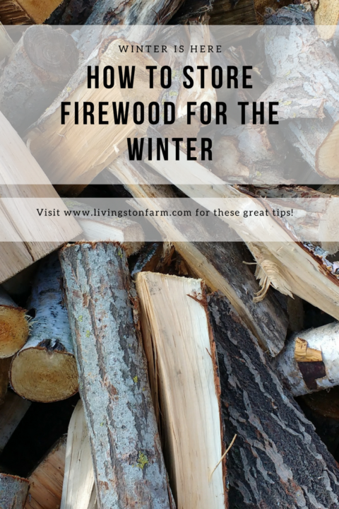 How To Store Firewood for Winter