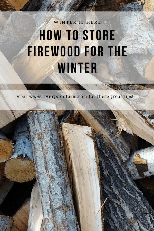 How to Store Firewood for Winter - Learn to Keep Wood Dry & Seasoned