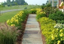 Best types of stone to use in you next construction project