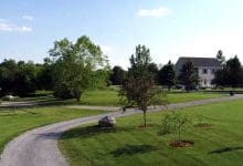 Spring Into Action: The Essential Guide to Outdoor Spring Cleanup