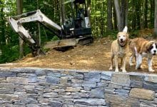 Landscaping Industry Statistics for 2025: Trends, Insights & Growth