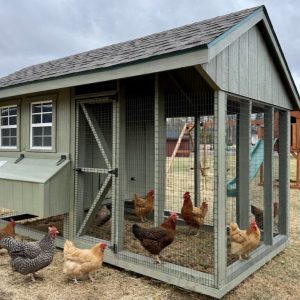 Combination Chicken Coop 6' x 12'