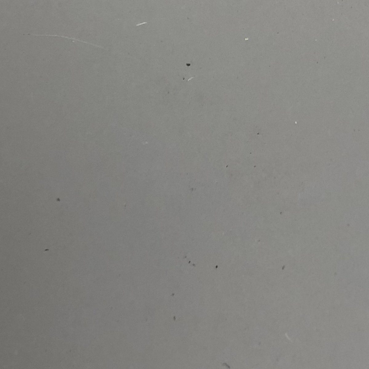 Ash Gray metal roof colors color option