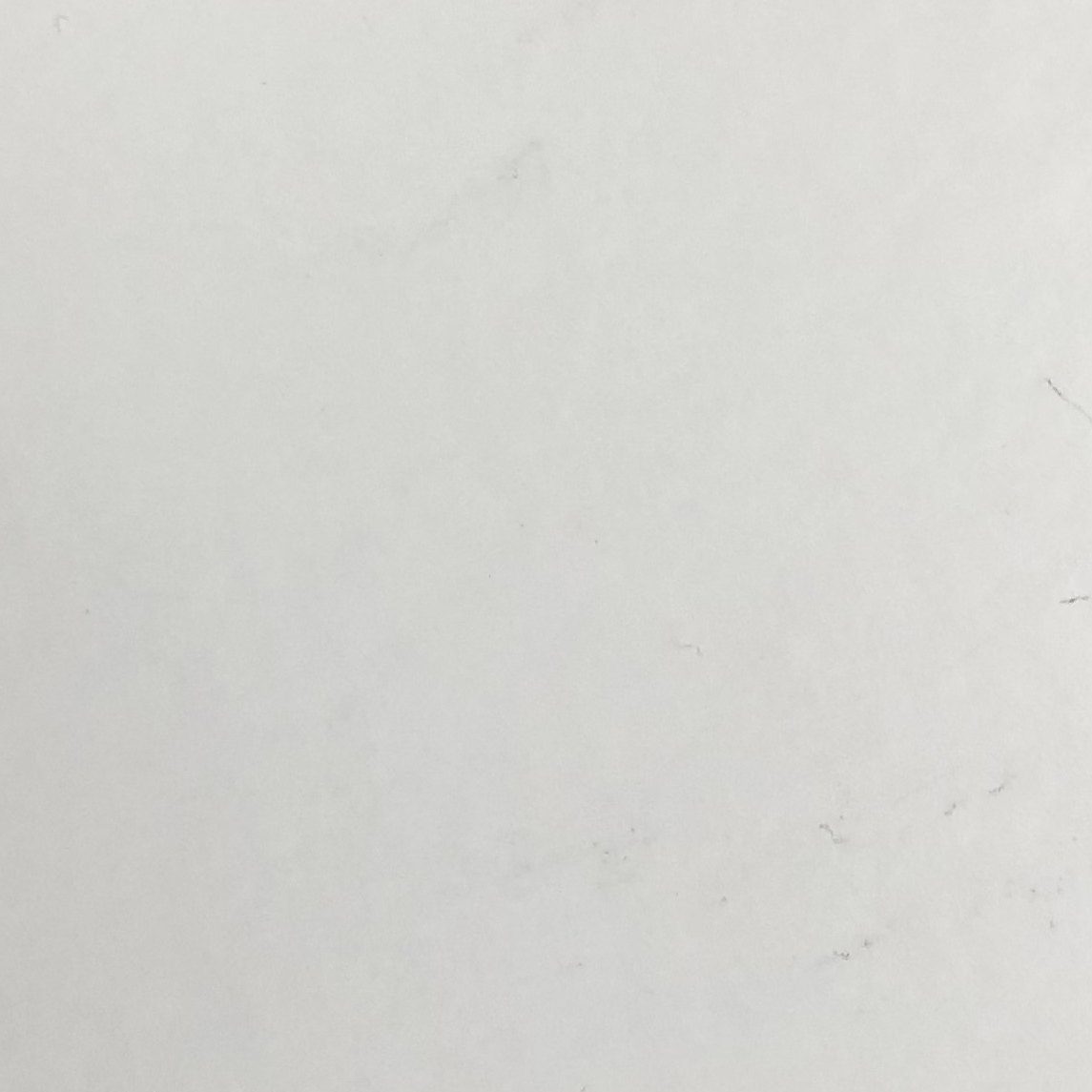 Bright White metal roof colors color option