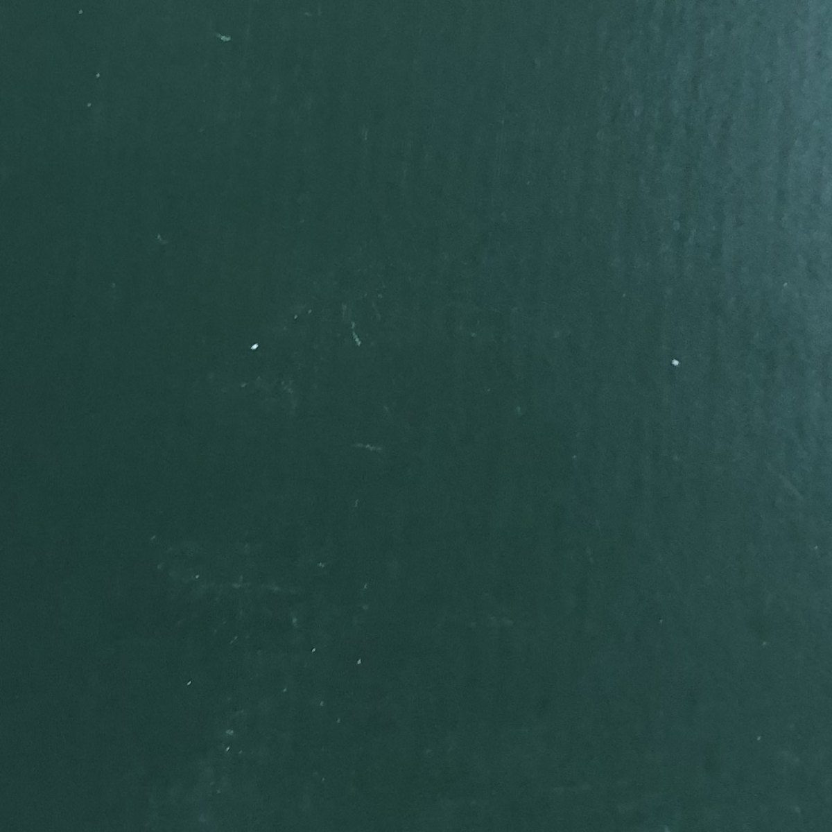 Evergreen metal roof colors color option