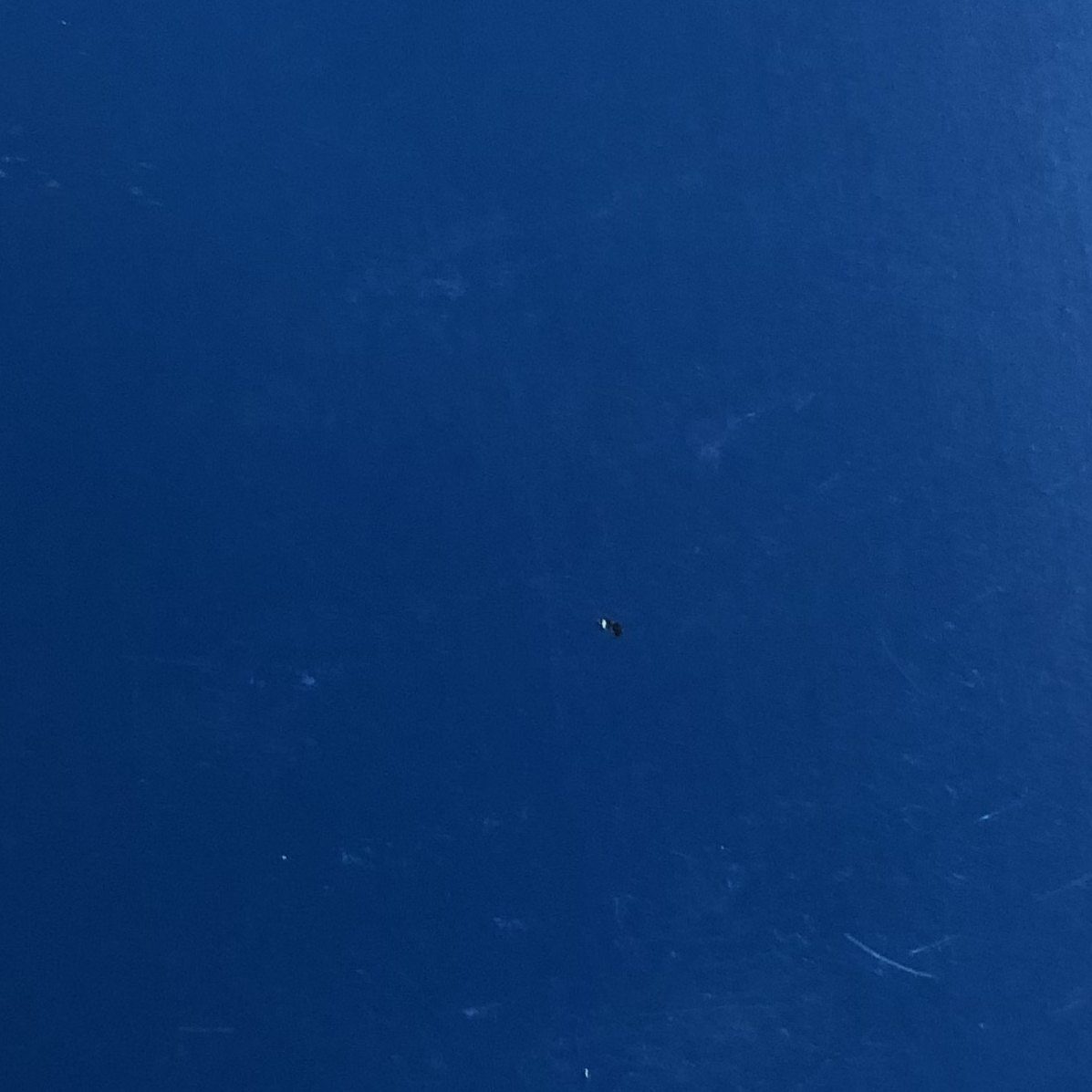 Gallery Blue metal roof colors color option