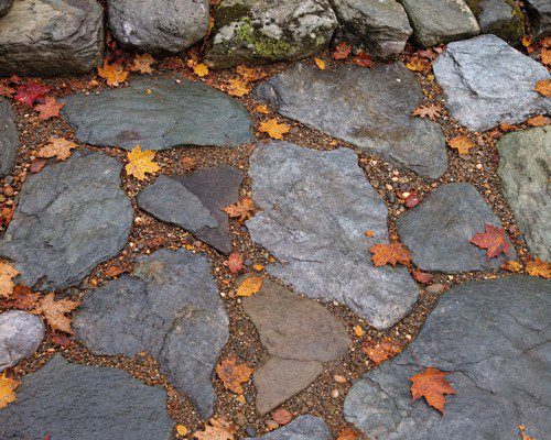 Natural flagstone walkway with autumn leaves in Vermont